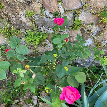 Ferme Fleurie Bed & Breakfast Bergesserin Bagian luar foto
