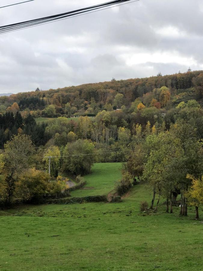 Ferme Fleurie Bed & Breakfast Bergesserin Bagian luar foto