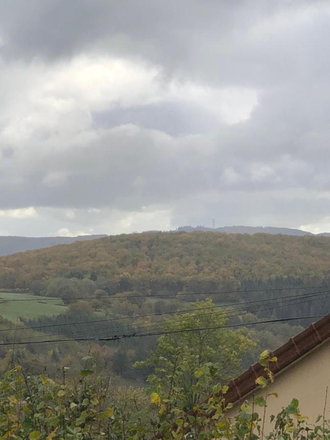 Ferme Fleurie Bed & Breakfast Bergesserin Bagian luar foto