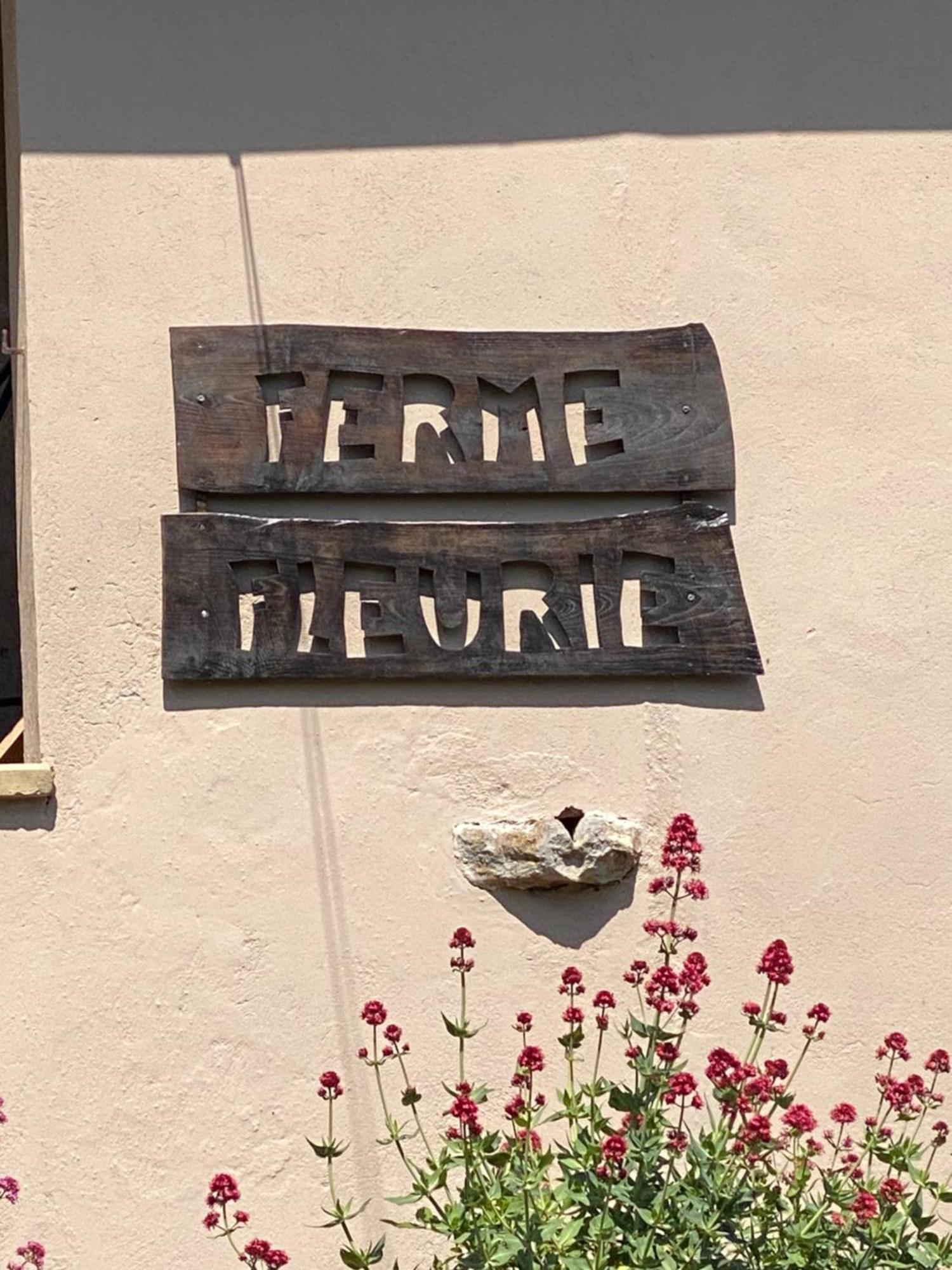 Ferme Fleurie Bed & Breakfast Bergesserin Bagian luar foto