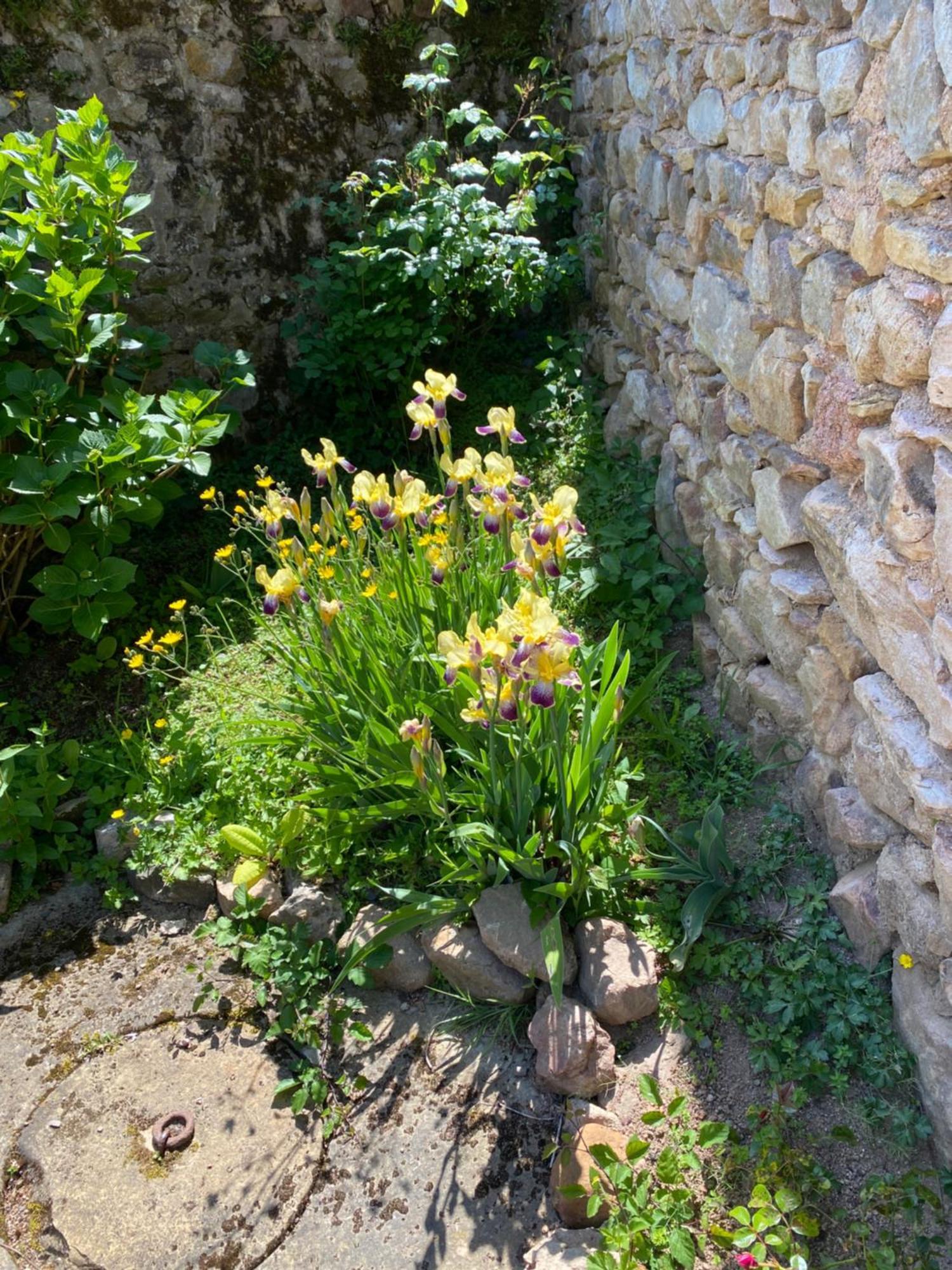 Ferme Fleurie Bed & Breakfast Bergesserin Bagian luar foto